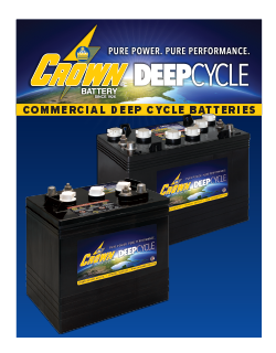 Crown Deep Cycle batteries